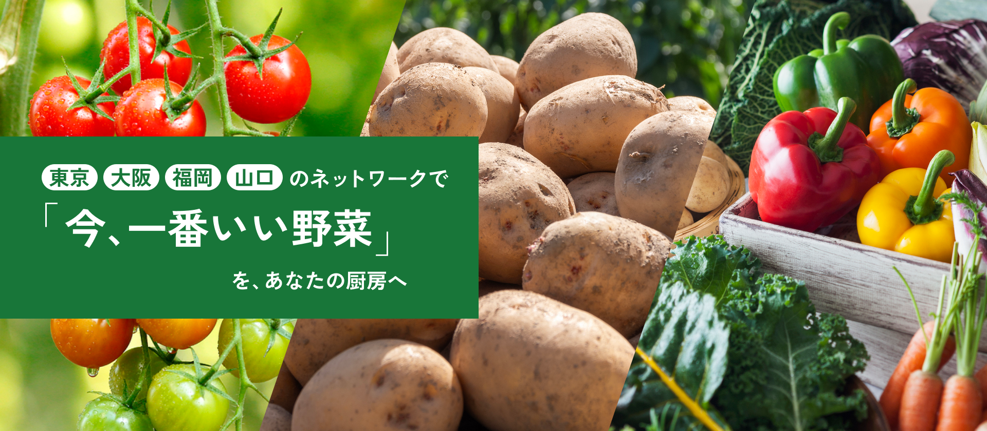 東京 大阪 福岡 山口 のネットワークで『今、一番いい野菜』を、あなたの厨房へ